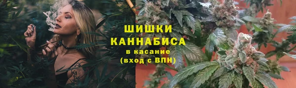 бошки Аркадак