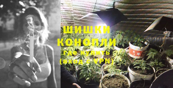 бошки Аркадак