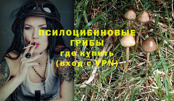 таблы Армянск